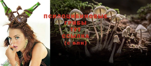 винт Балахна