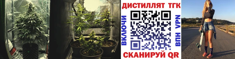 Дистиллят ТГК гашишное масло  купить  цена  Юрьевец 